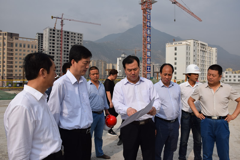 李东新调研市龙江公司项目建设工作