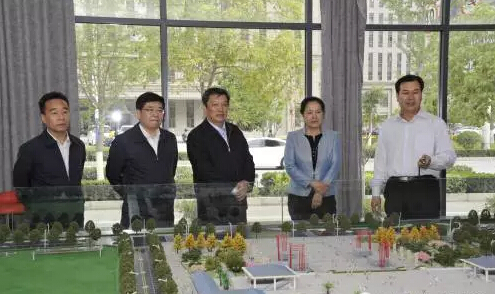 市长陈青，副市长王月成陪同省电力投资集团公司总经理李辉一行深入阶州广场视察