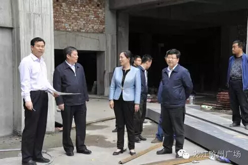 市长陈青，副市长王月成陪同省电力投资集团公司总经理李辉一行深入阶州广场视察
