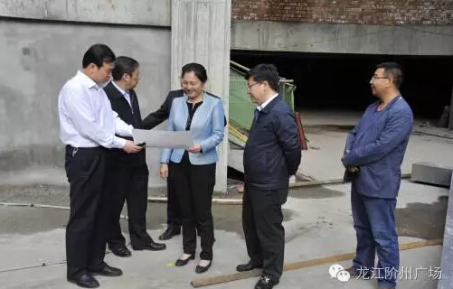 市长陈青，副市长王月成陪同省电力投资集团公司总经理李辉一行深入阶州广场视察