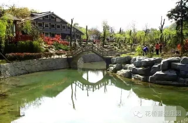 这个周末，陇南康县花桥有大事要发生？