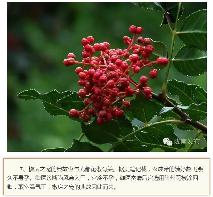 兰渝铁路最早由孙中山先生提出？在陇南，你不知道的事儿还有……