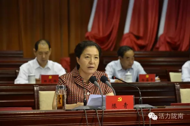 陇南市纪念建党95周年暨表彰大会隆重召开