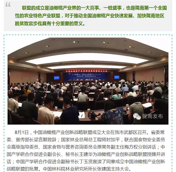 中国油橄榄产业创新战略联盟今日成立