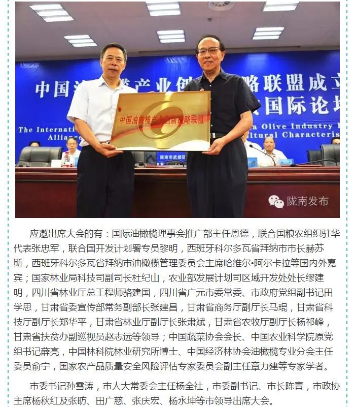 中国油橄榄产业创新战略联盟今日成立