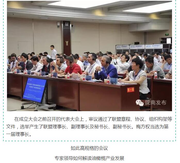 中国油橄榄产业创新战略联盟今日成立