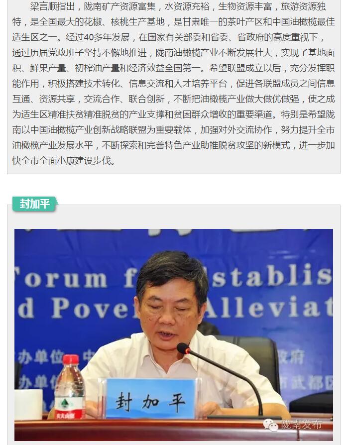 中国油橄榄产业创新战略联盟今日成立