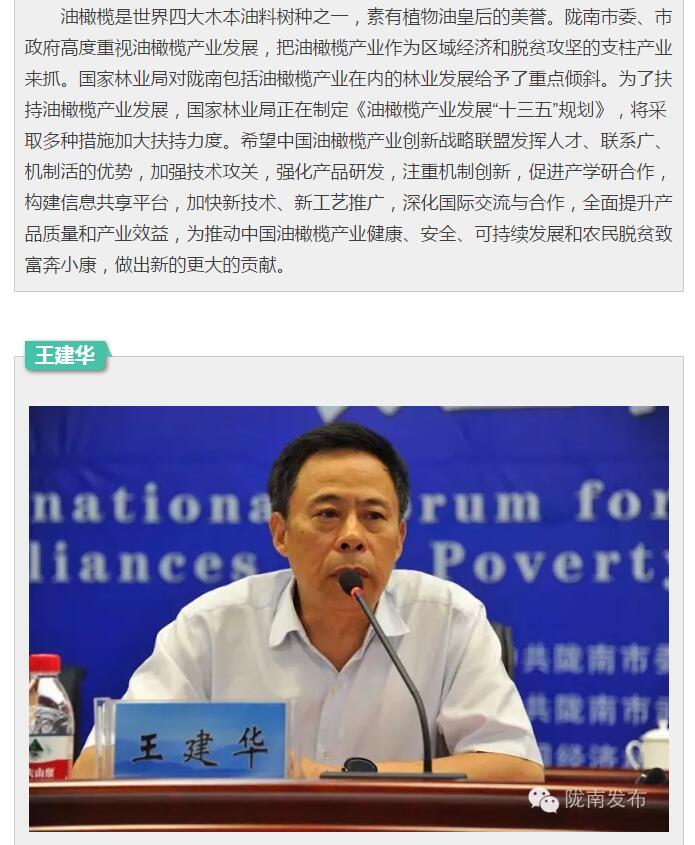 中国油橄榄产业创新战略联盟今日成立