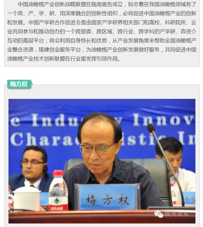 中国油橄榄产业创新战略联盟今日成立
