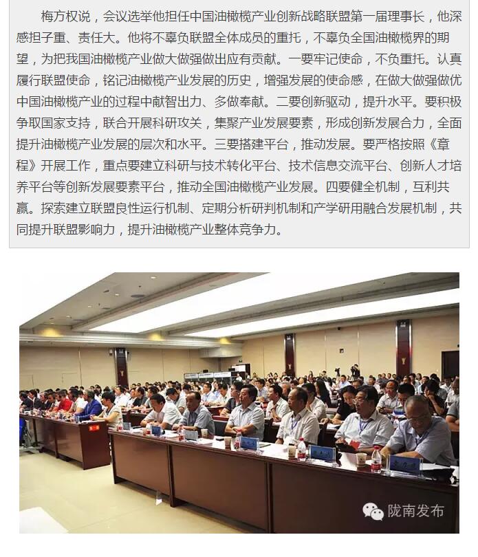 中国油橄榄产业创新战略联盟今日成立