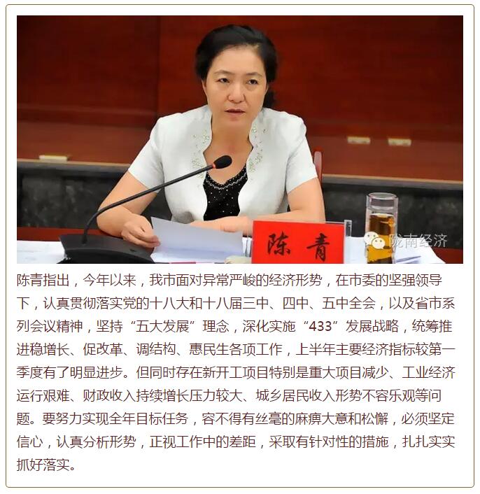 陈青在市政府全体会议上强调：紧盯一个目标抓好九大任务落实强化三项保障，确保全市经济社会持续快速发展
