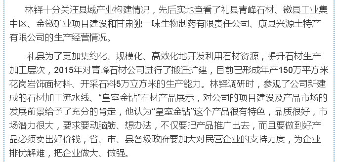 林铎：贯彻五大理念建设富美陇南 依托资源禀赋壮大县域经济