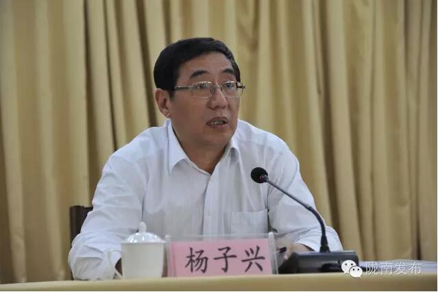 全国电商精准扶贫现场会在陇南召开