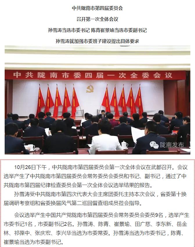 孙雪涛就加强市委班子建设提出具体要求