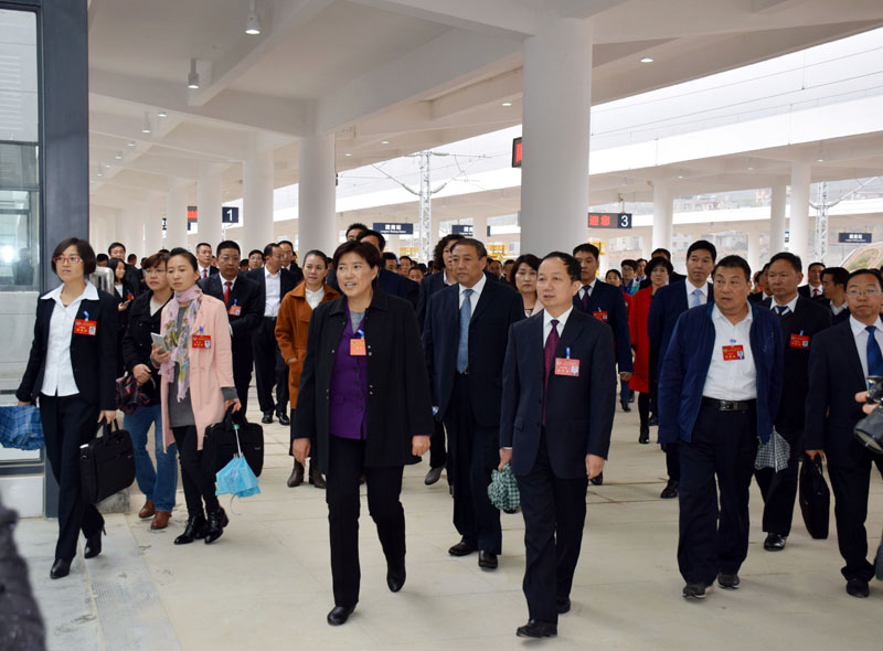 政协陇南市第四届委员会第一次会议委员参观阶州广场