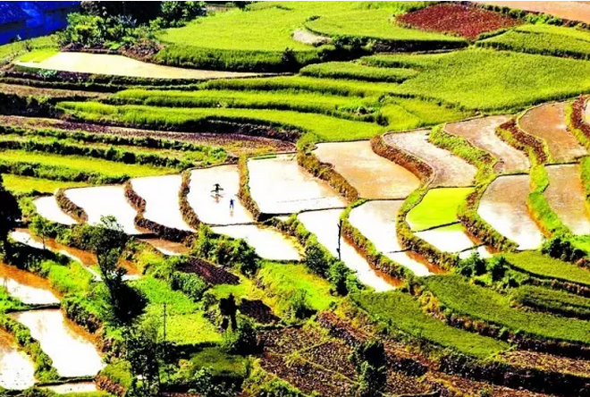 财政部　国务院扶贫办发文进一步推进贫困县统筹整合使用财政涉农资金工作