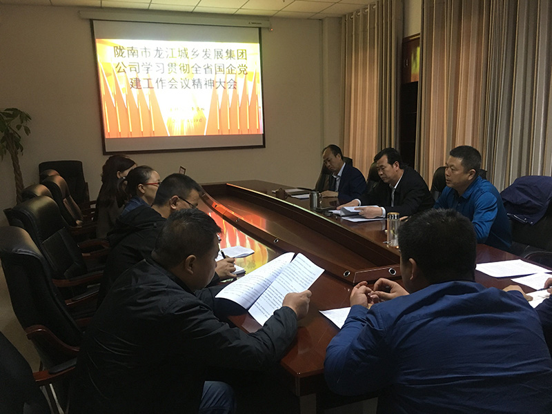市龙江城乡发展集团公司召开全省 国有企业党的建设工作会议精神学习会议