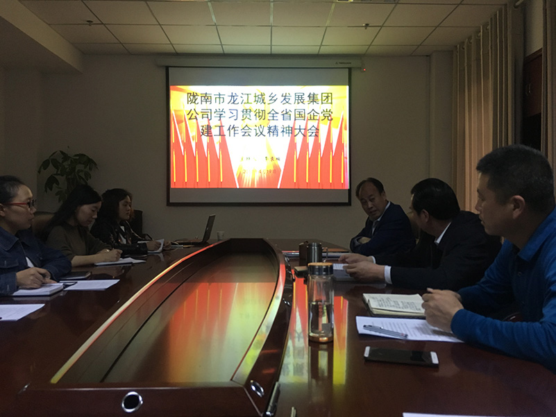市龙江城乡发展集团公司召开全省 国有企业党的建设工作会议精神学习会议