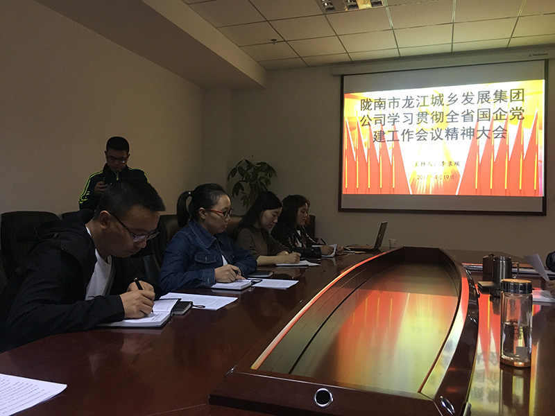 市龙江城乡发展集团公司召开全省 国有企业党的建设工作会议精神学习会议