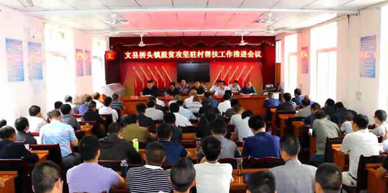 总经理李录顺一行赴文县桥头镇调研贫困区精准扶贫工作