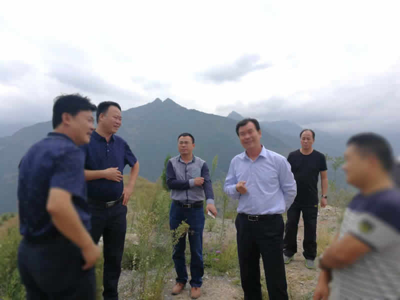 总经理李录顺一行赴文县桥头镇调研贫困区精准扶贫工作