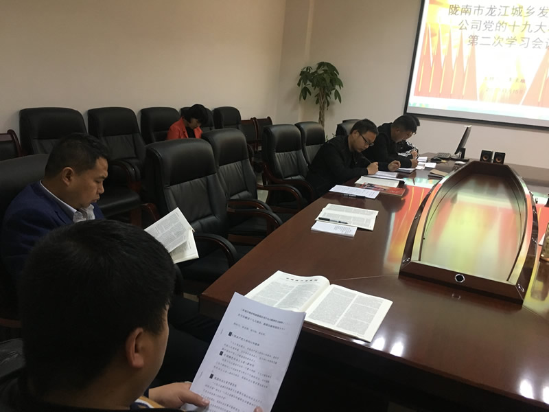 市龙江城乡发展集团公司召开党的十九大精神第二次学习会议