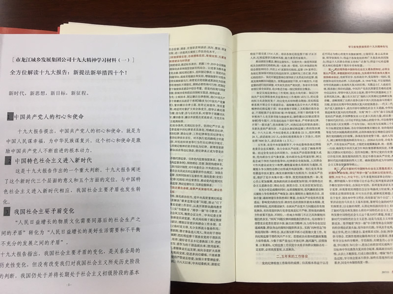 市龙江城乡发展集团公司召开党的十九大精神第二次学习会议