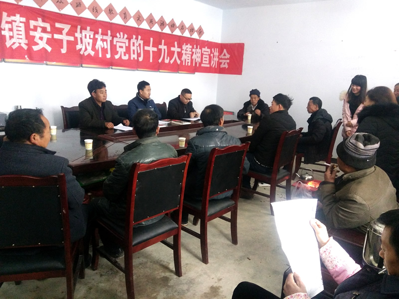 市龙江城乡发展集团公司驻村帮扶队在桥头镇安子坡村宣讲党的十九大精神
