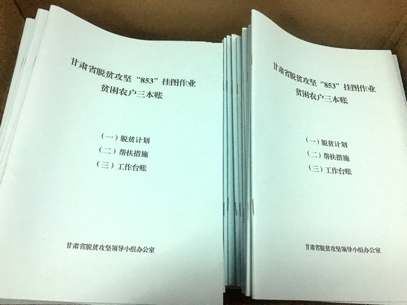 市龙江城乡发展集团公司驻村帮扶队在桥头镇安子坡村宣讲党的十九大精神
