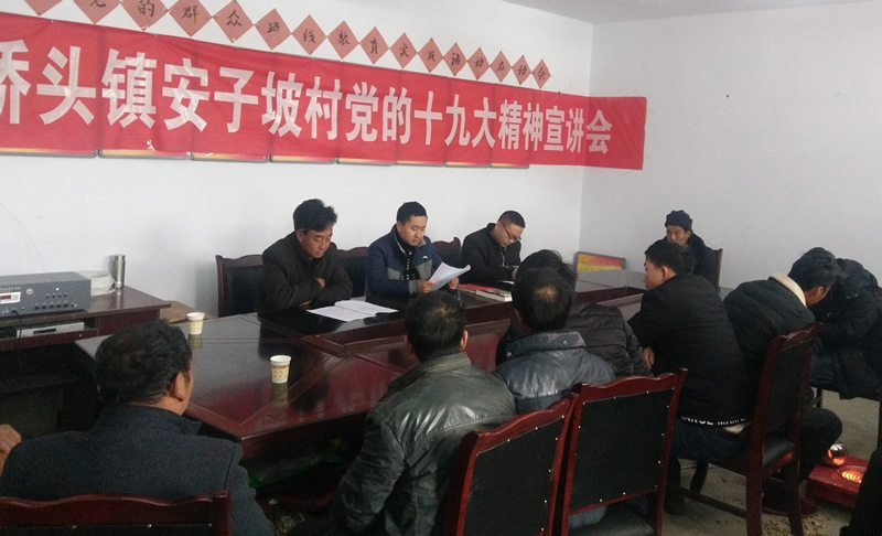 市龙江城乡发展集团公司驻村帮扶队在桥头镇安子坡村宣讲党的十九大精神
