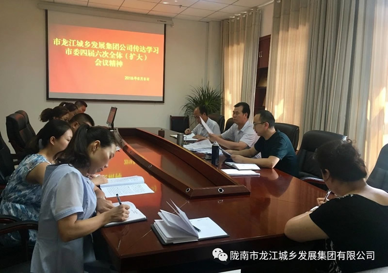 市龙江城乡发展集团公司传达学习市委四届六次全体（扩大）会议精神