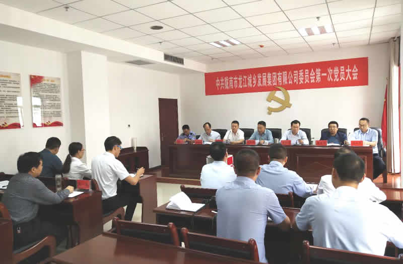 中国共产党陇南市龙江城乡发展集团有限公司委员会第一次党员大会胜利召开