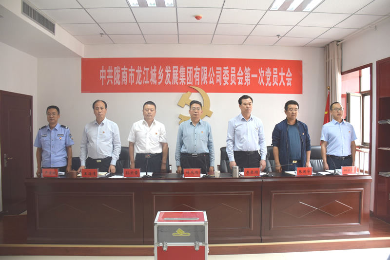 中国共产党陇南市龙江城乡发展集团有限公司委员会第一次党员大会胜利召开