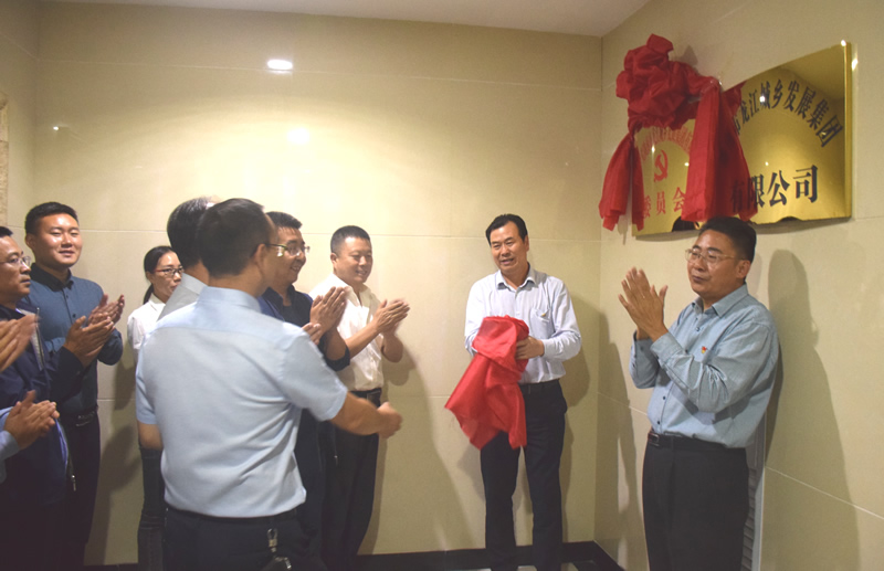 中国共产党陇南市龙江城乡发展集团有限公司委员会第一次党员大会胜利召开