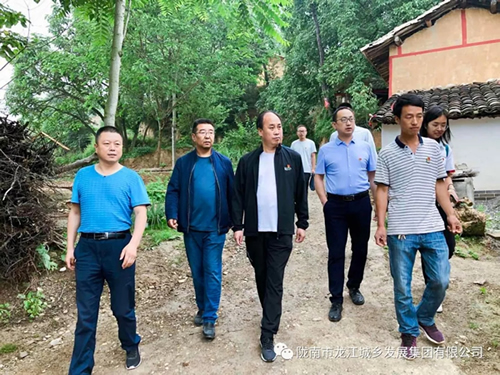 市龙江城乡发展集团在桥头镇安子坡村积极开展帮扶主题实践活动