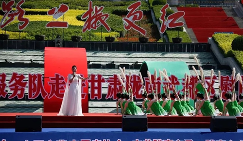 2019武都花椒产销对接（电商）洽谈会在阶州广场隆重开幕~