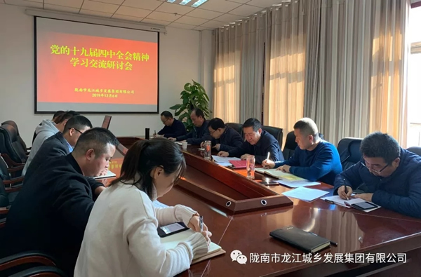 市龙江集团召开学习贯彻党的十九届四中全会精神交流研讨会