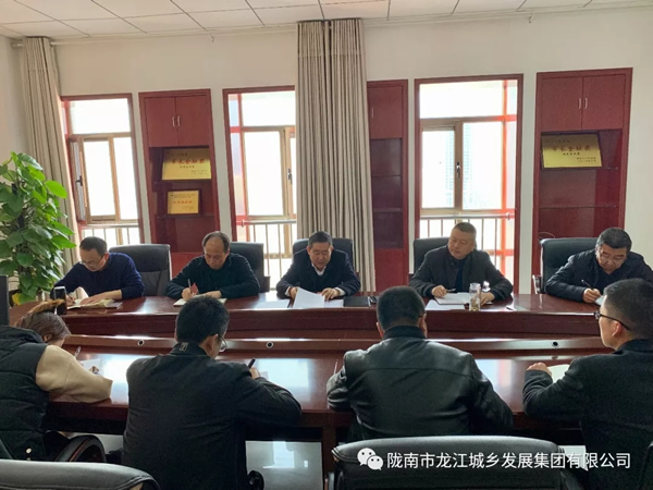 市龙江集团传达学习市委四届十次全会暨市委经济工作会议精神