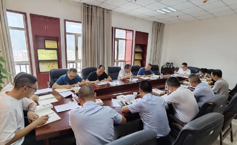 市龙江集团召开党委（扩大）会议