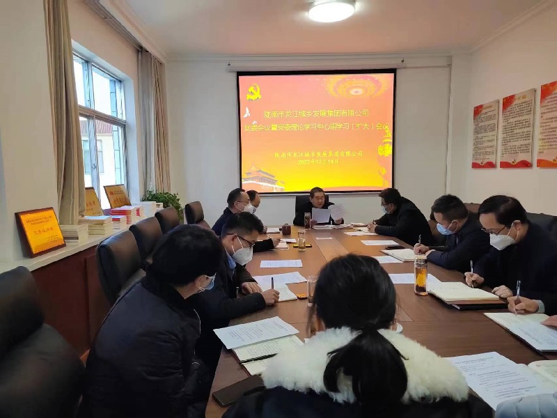 市龙江集团召开党委理论学习中心组学习(扩大)会议