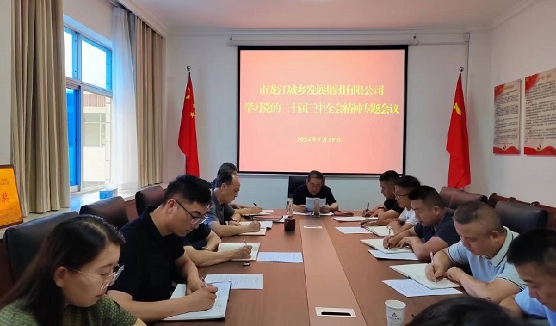 市龙江集团召开党委(扩大)会议传达学习贯彻党的二十届三中全会精神