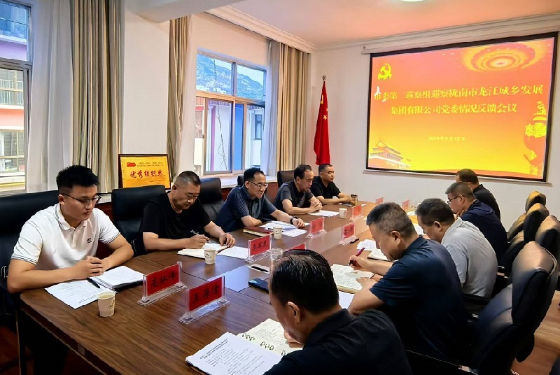 市委第二巡察组巡察市龙江城乡发展集团党委情况反馈会议召开