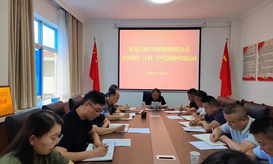 市龙江集团召开党委（扩大）会议传达学习贯彻党的二